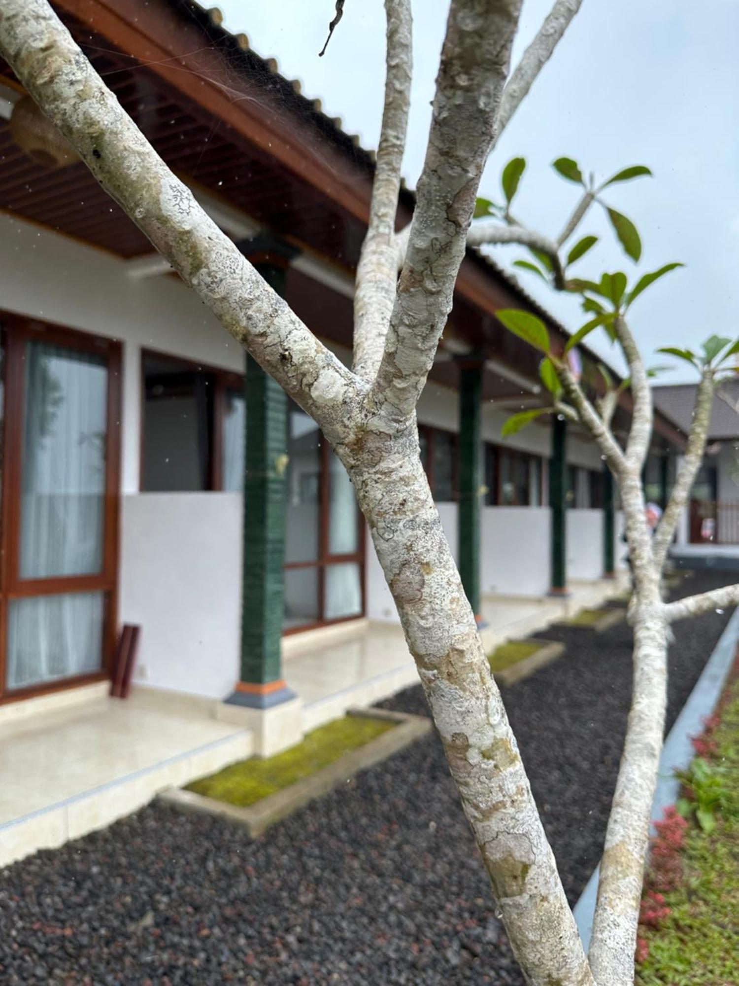 Apartamento Bali Basuki Retreat Center Besakih Exterior foto